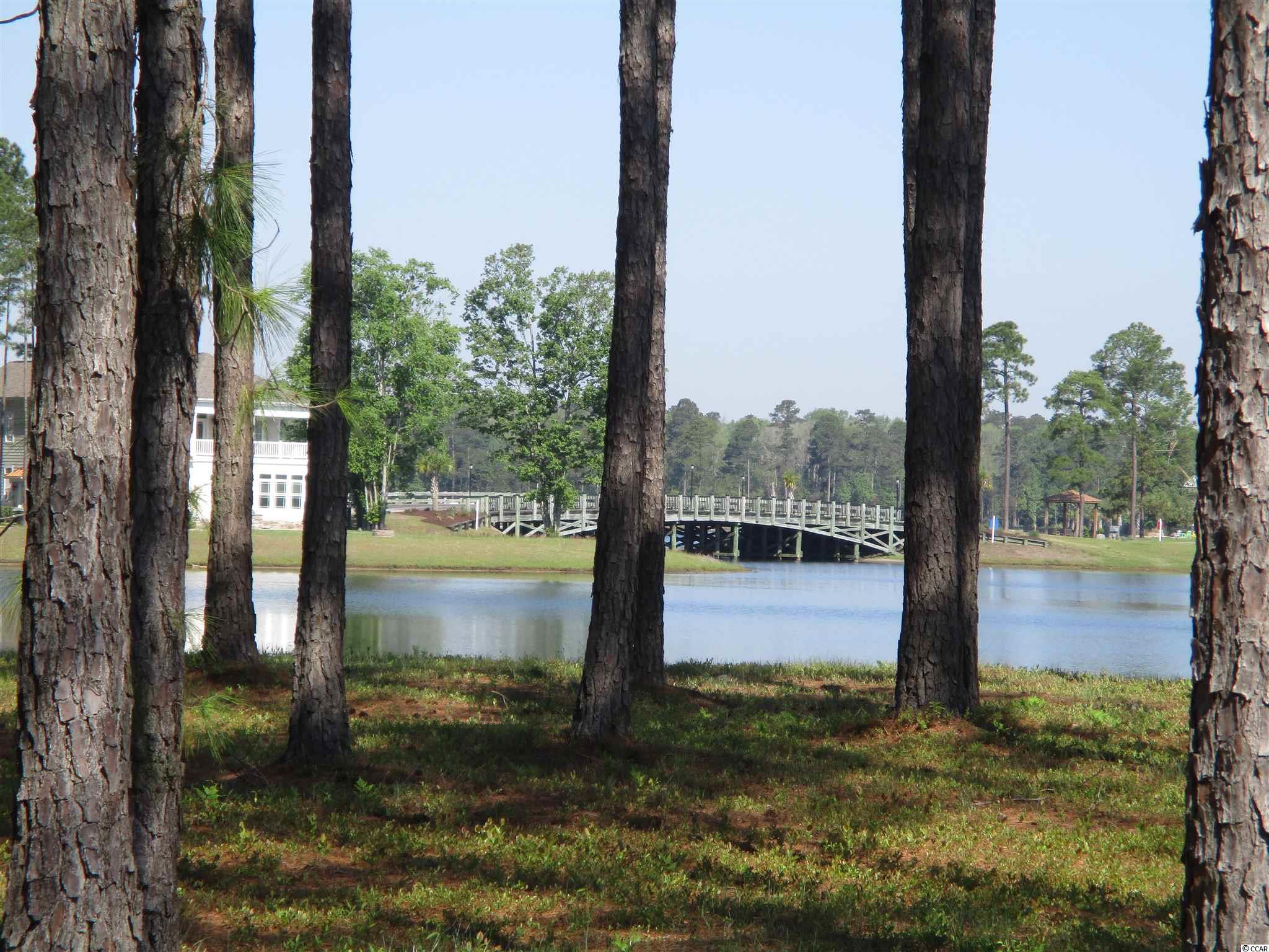 919 Fiddlehead Way Myrtle Beach, SC 29579 - Photo 3 of 21 Gallery Image 3