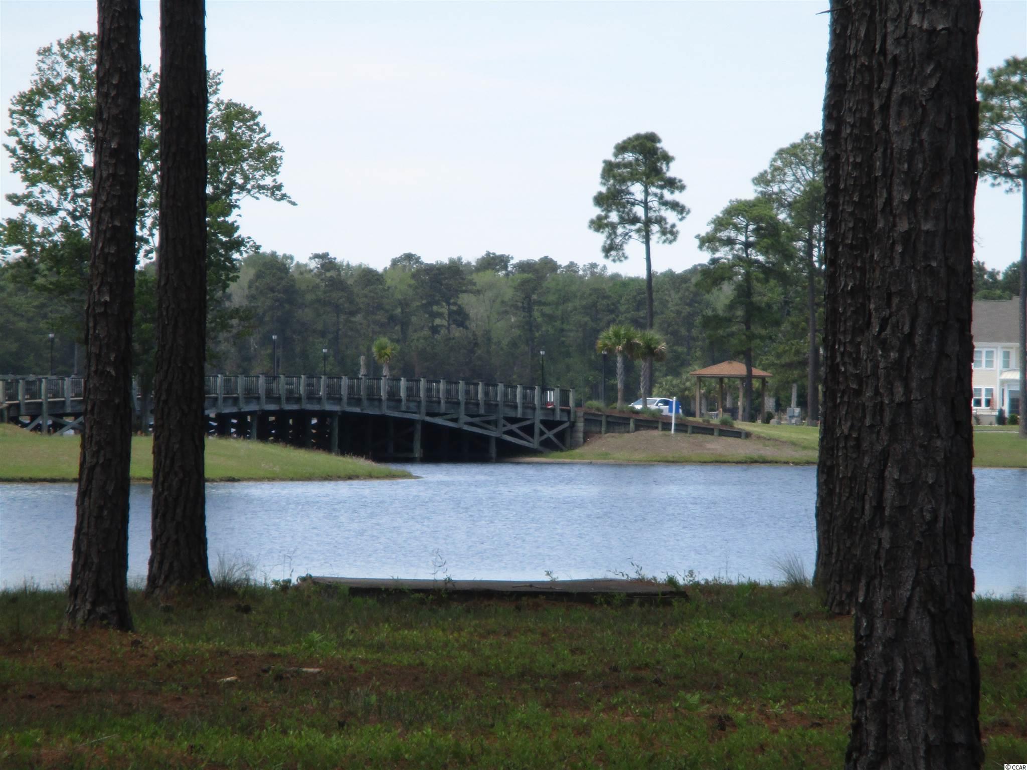 919 Fiddlehead Way Myrtle Beach, SC 29579 - Photo 4 of 21 Gallery Image 4