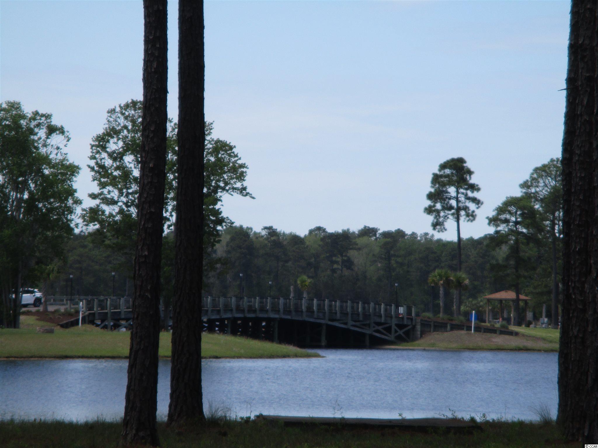 919 Fiddlehead Way Myrtle Beach, SC 29579 - Photo 6 of 21 Gallery Image 6