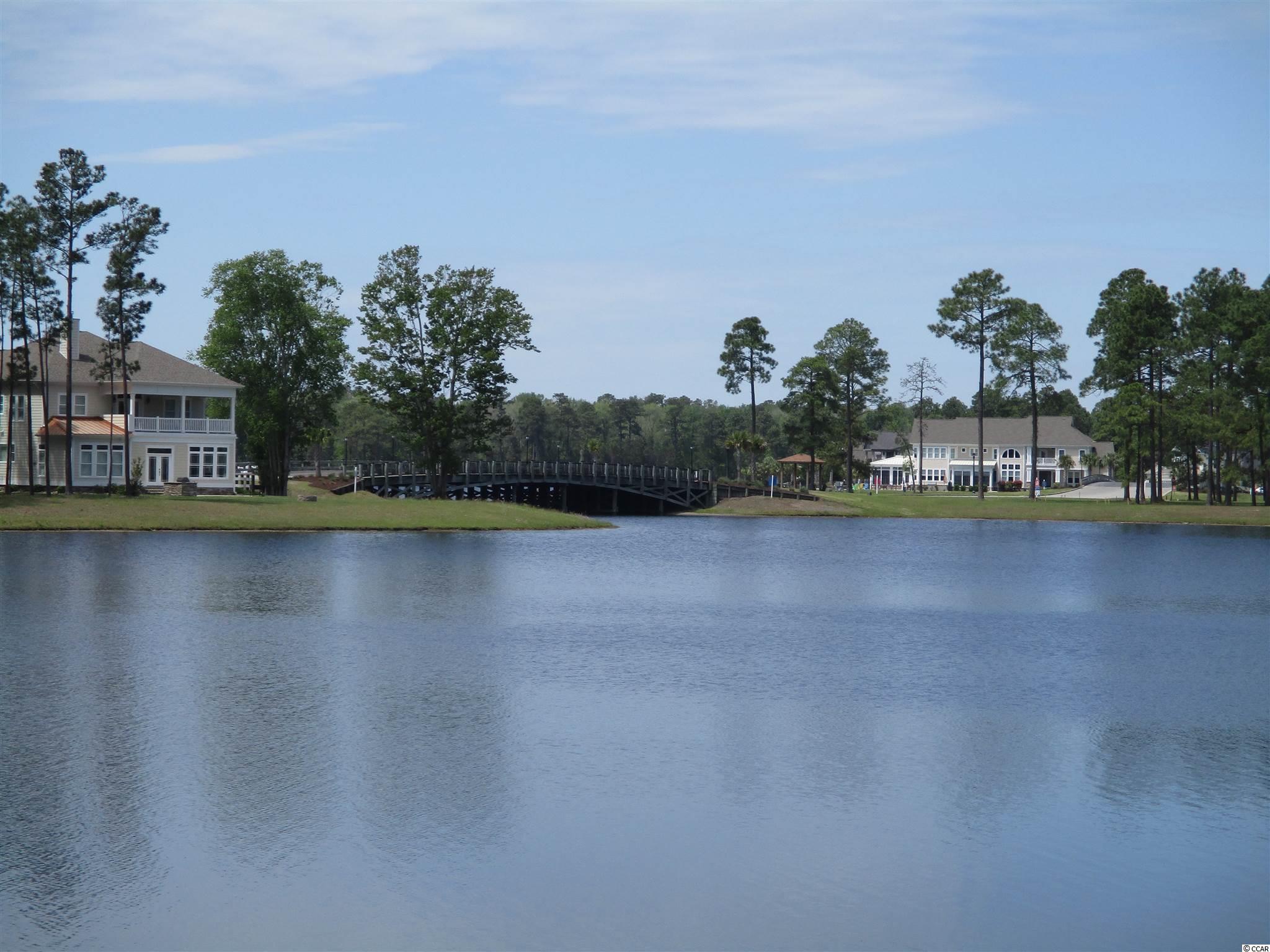 919 Fiddlehead Way Myrtle Beach, SC 29579 - Photo 7 of 21 Gallery Image 7