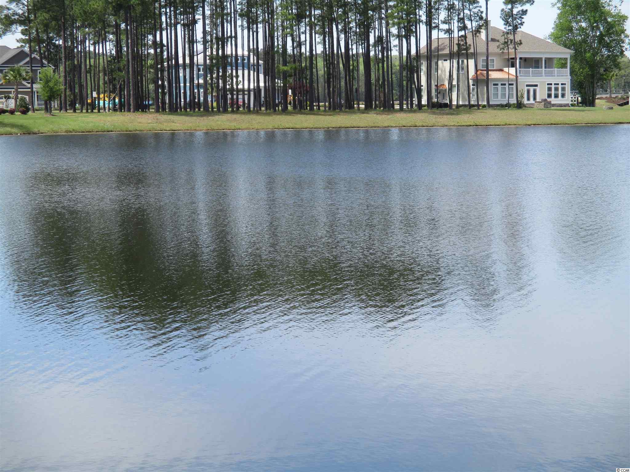 919 Fiddlehead Way Myrtle Beach, SC 29579 - Photo 8 of 21 Gallery Image 8