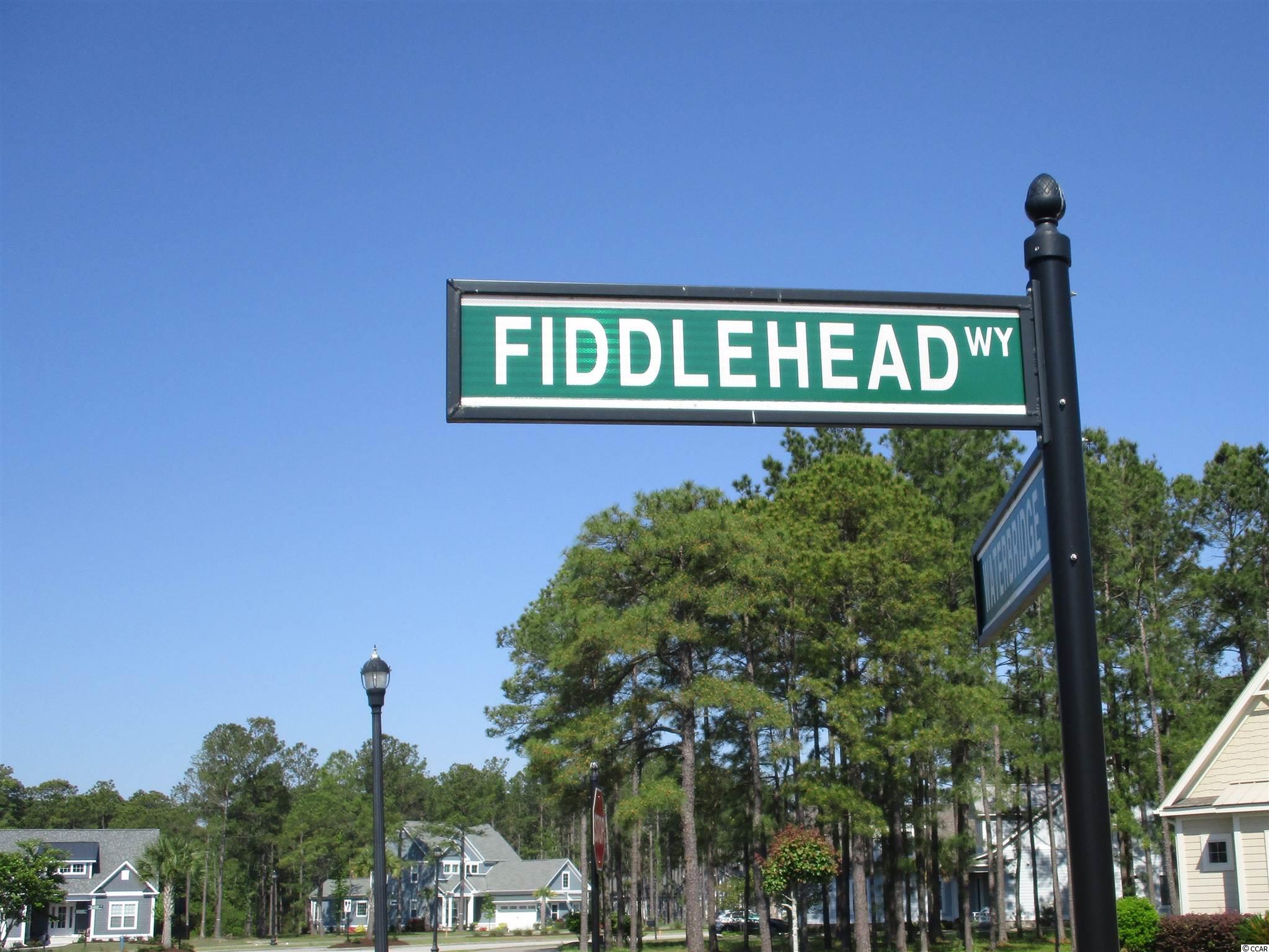 919 Fiddlehead Way Myrtle Beach, SC 29579 - Photo 9 of 21 Gallery Image 9