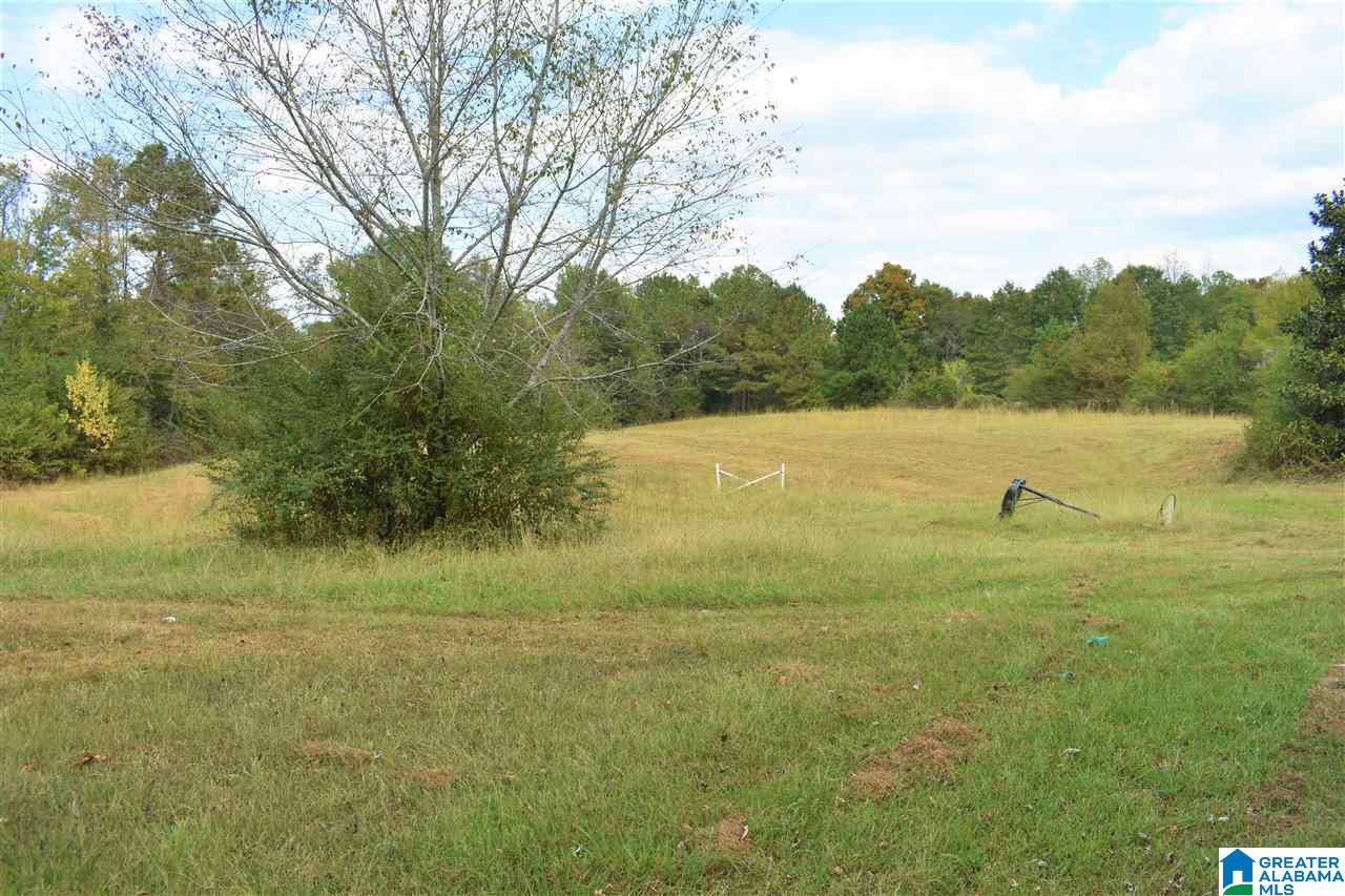 3052 Smith Mill Road, Unit 1 Trafford, AL 35172 - Photo 20 of 24