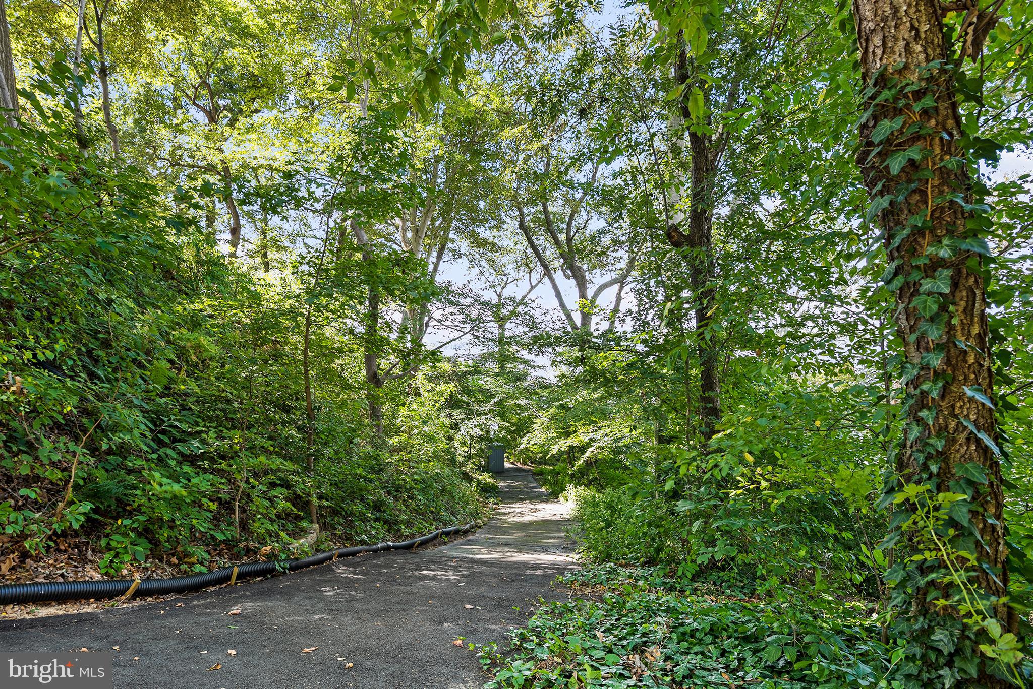 1585 Elk Forest Road Elkton, MD 21921 - Photo 18 of 77 Road down to waterfront