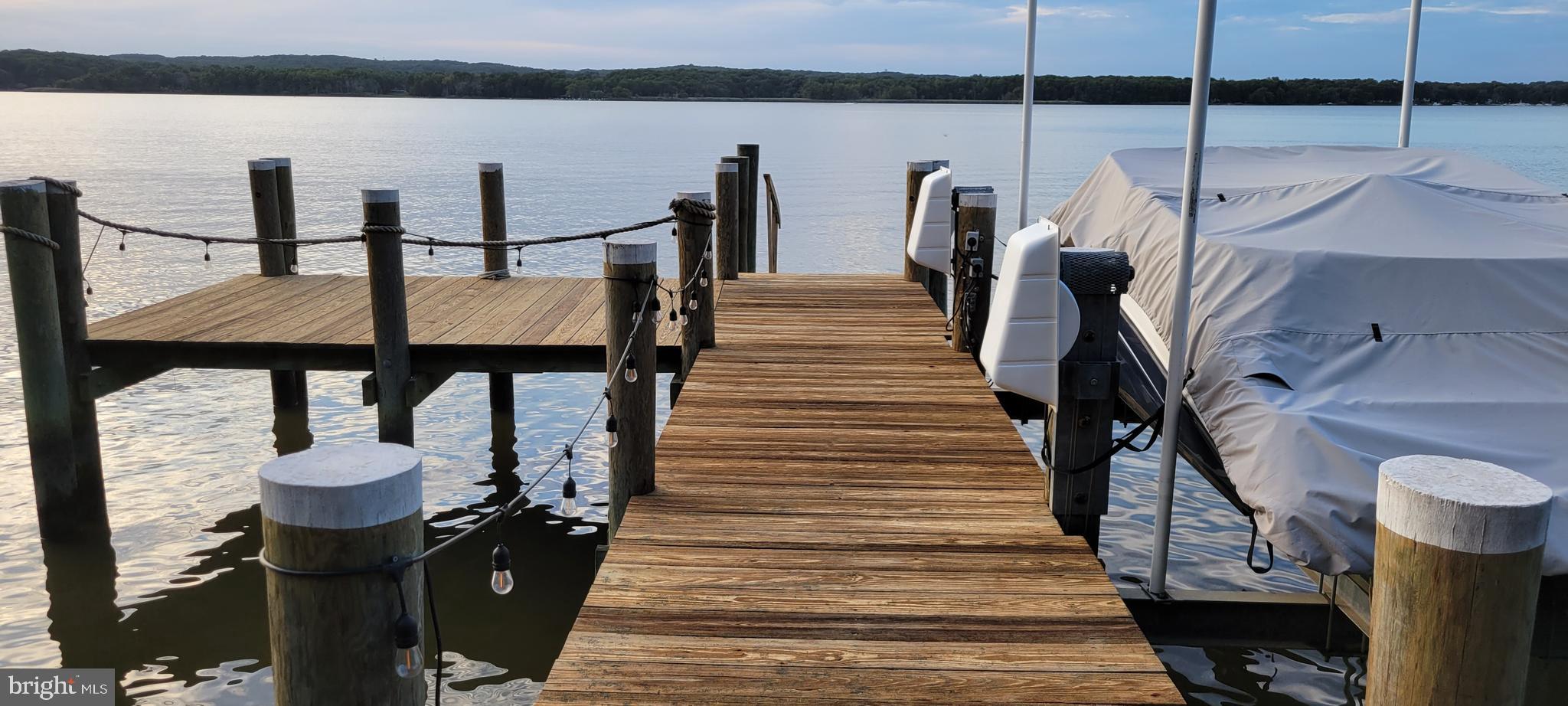 1585 Elk Forest Road Elkton, MD 21921 - Photo 22 of 77 Dock and Boat Lift