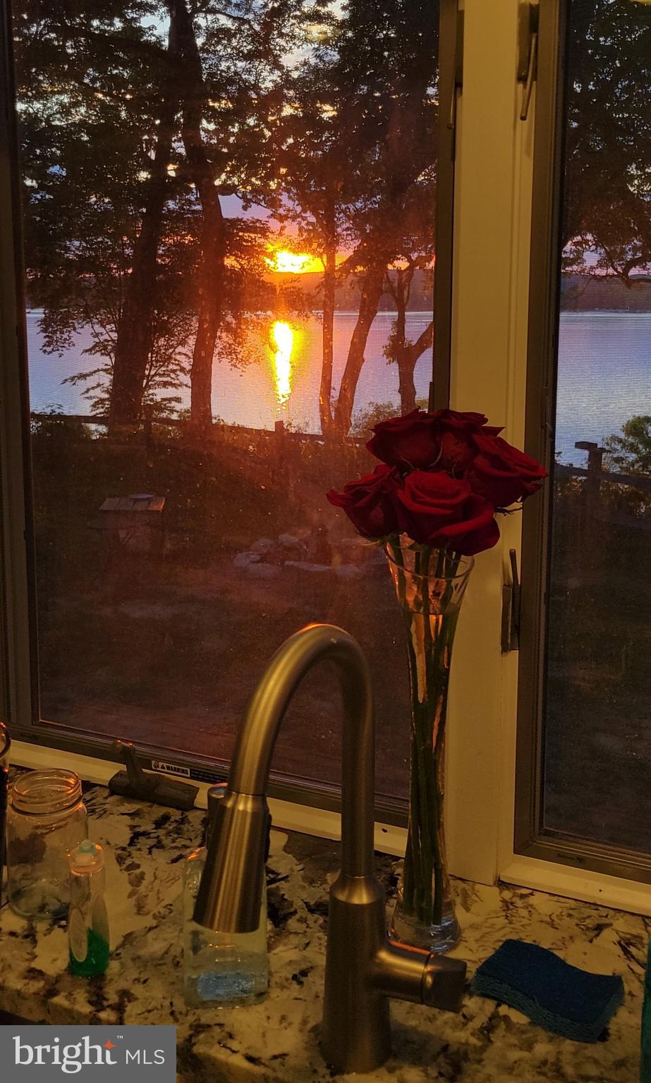 1585 Elk Forest Road Elkton, MD 21921 - Photo 41 of 77 From the Kitchen Sink