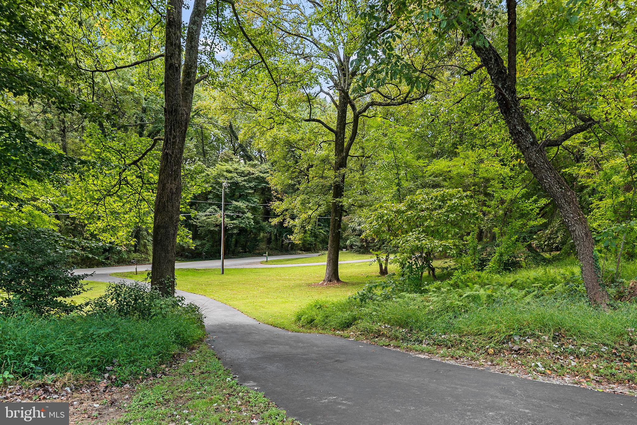 1585 Elk Forest Road Elkton, MD 21921 - Photo 7 of 77 Driveway