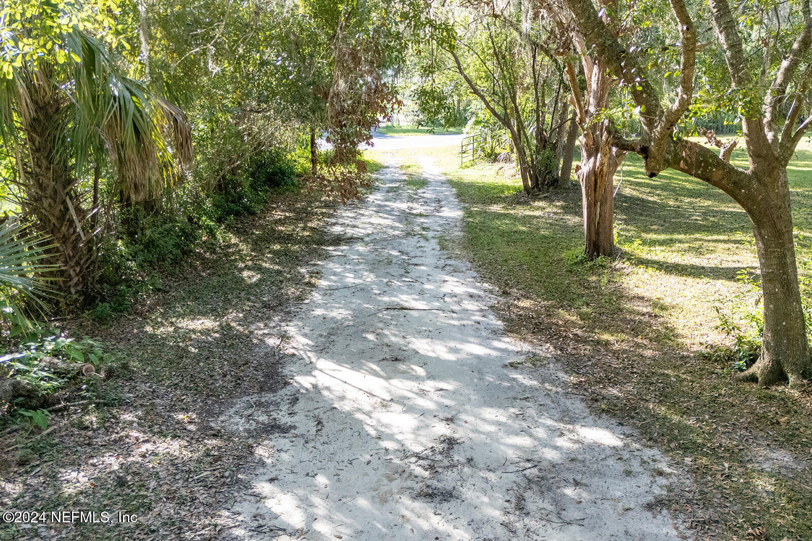 207 Price Road Hawthorne, FL 32640 - Photo 19 of 40 207 price rd-45