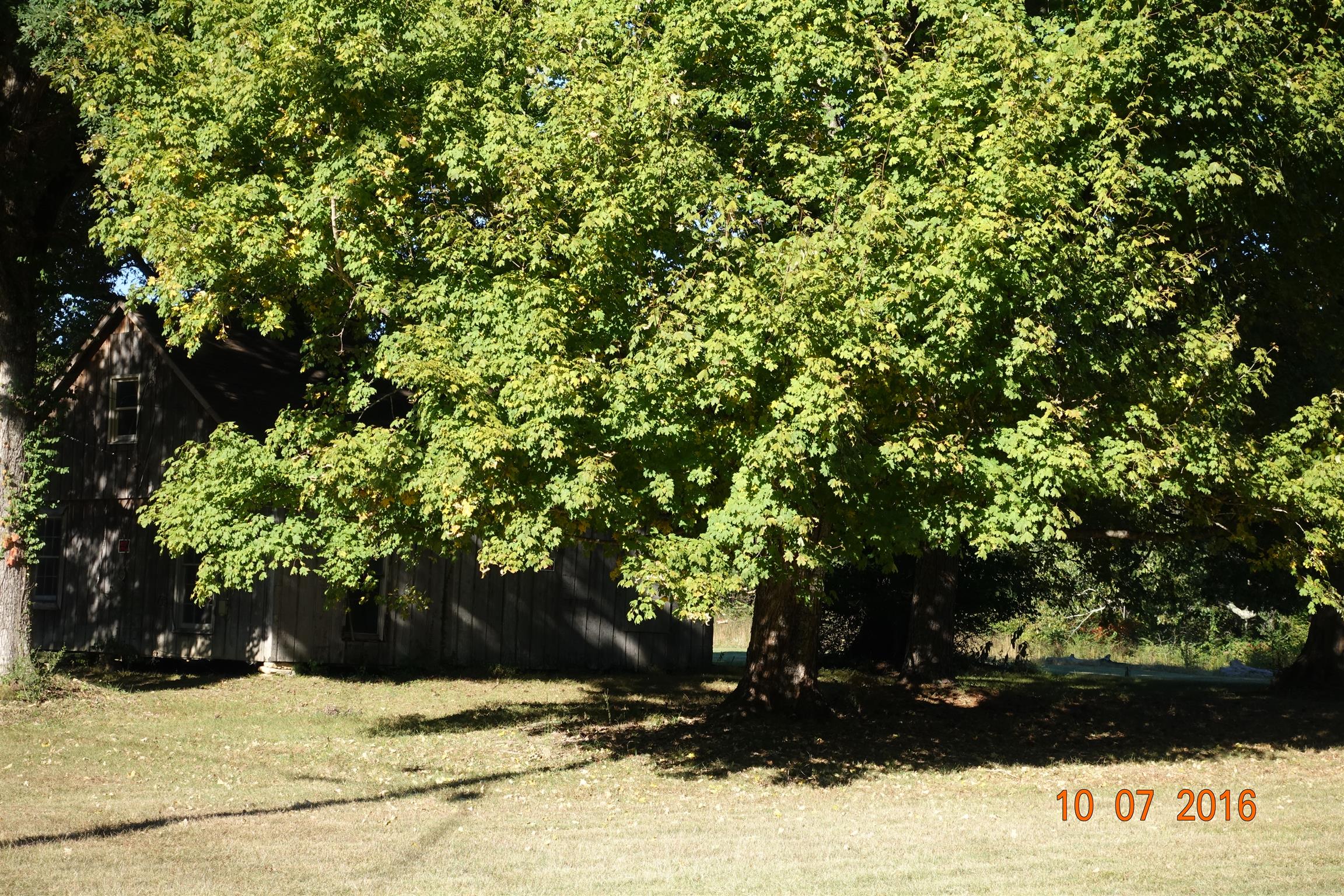 13 Boy Scout Road Linden, TN 37096 - Photo 4 of 10 Gallery Image 4