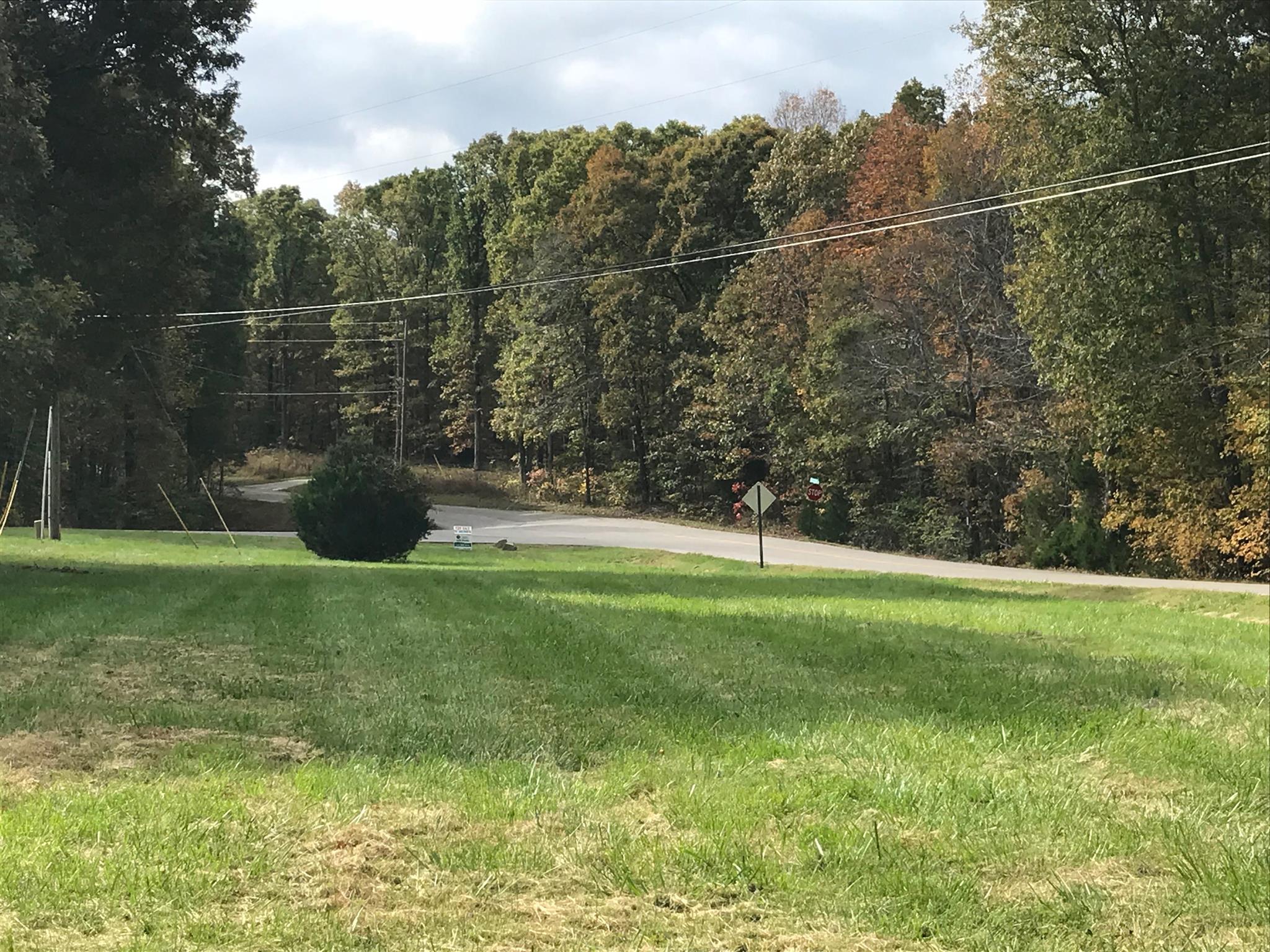 13 Boy Scout Road Linden, TN 37096 - Photo 8 of 10 Gallery Image 8