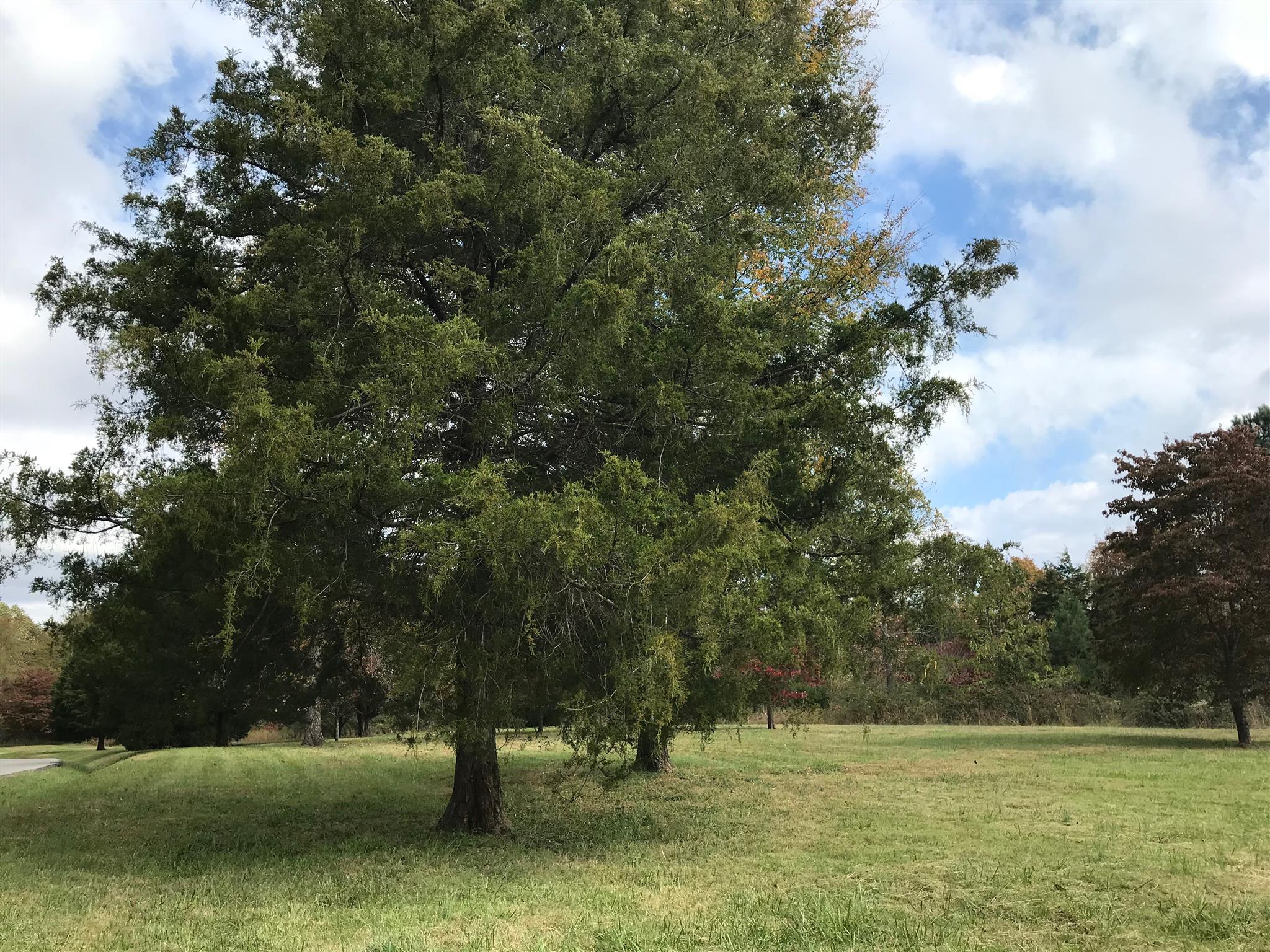 13 Boy Scout Road Linden, TN 37096 - Photo 10 of 10 Gallery Image 10