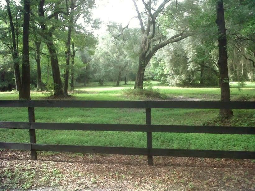 0 T W Wilson Road, Unit 4 Perry, FL 32347 - Photo 4 of 6