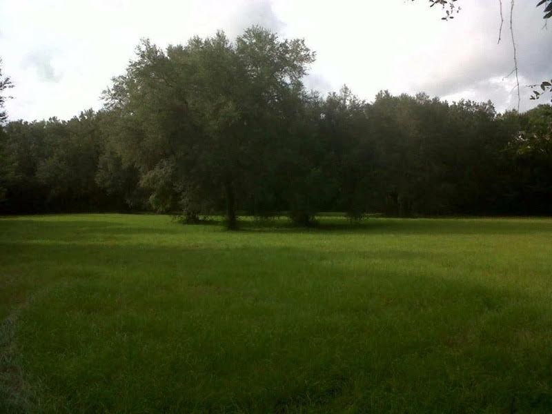 0 T W Wilson Road, Unit 4 Perry, FL 32347 - Photo 6 of 6