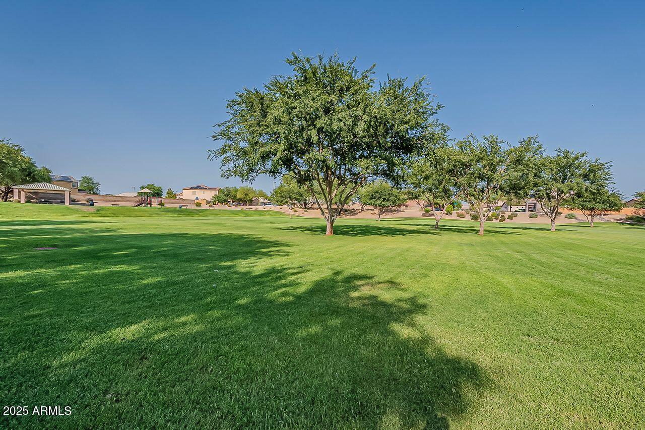 8721 South 253rd Drive Buckeye, AZ 85326 - Photo 37 of 44 a garden with trees in the background