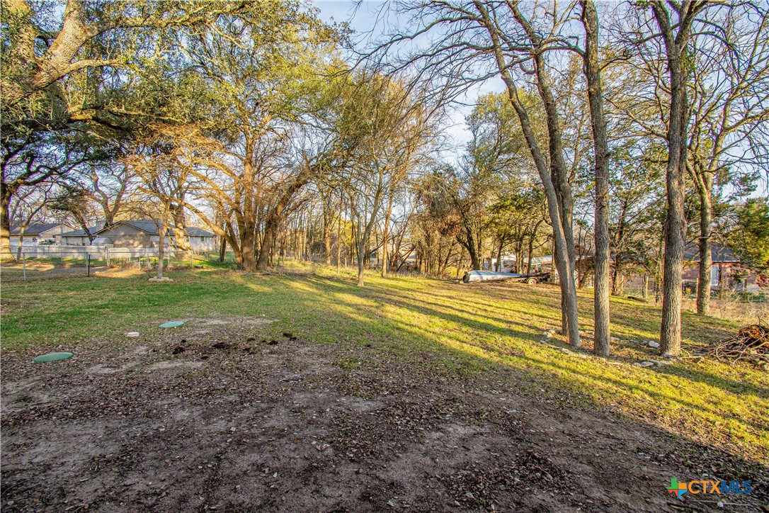 568 Morgan's Point Road Belton, TX 76513 - Photo 21 of 21 a view of dirt yard with large trees