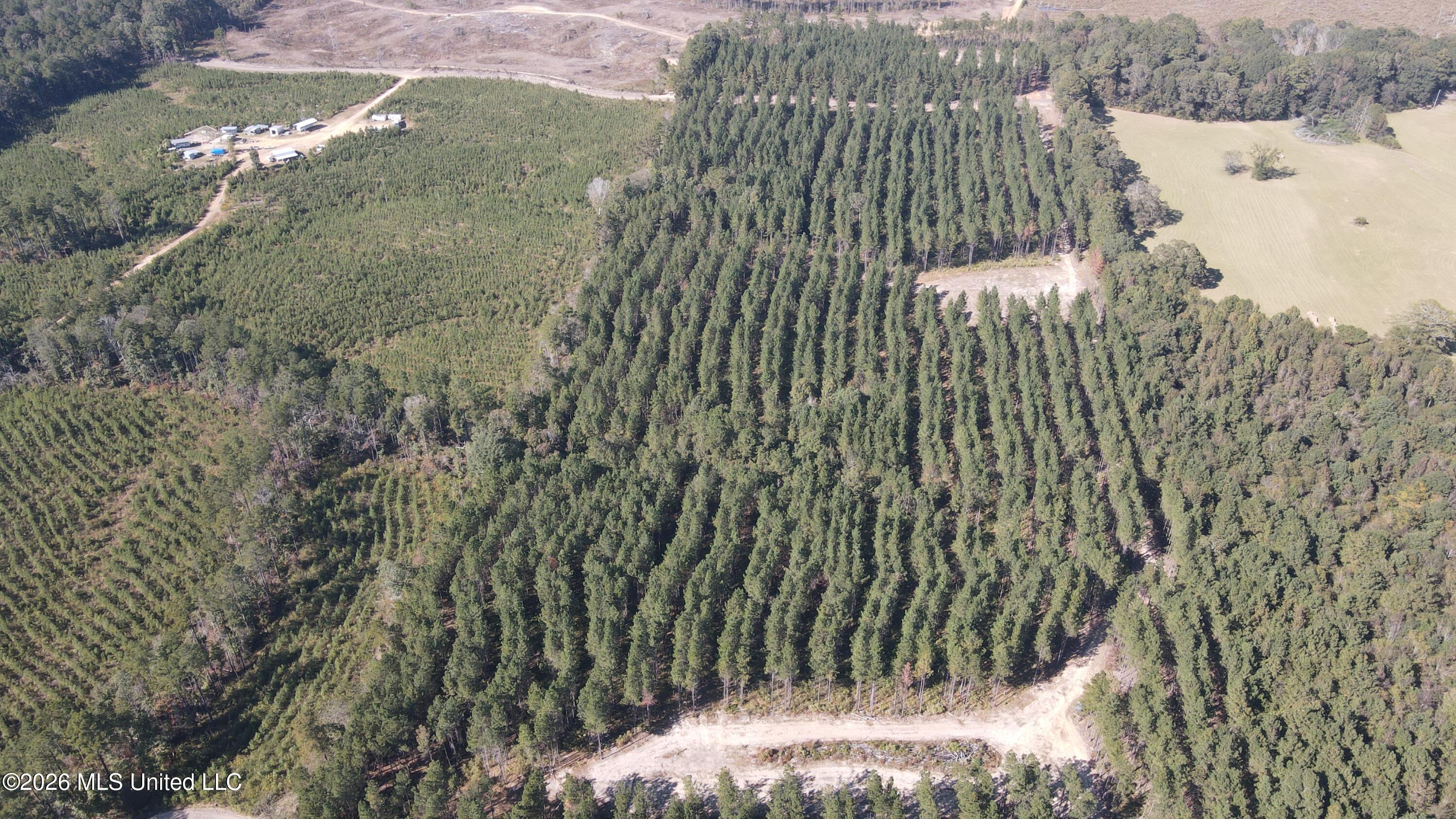 Loyd Irby Road Pelahatchie, MS 39145 - Photo 24 of 30 DJI_0212