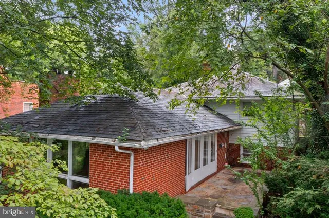 a view of a backyard with plants