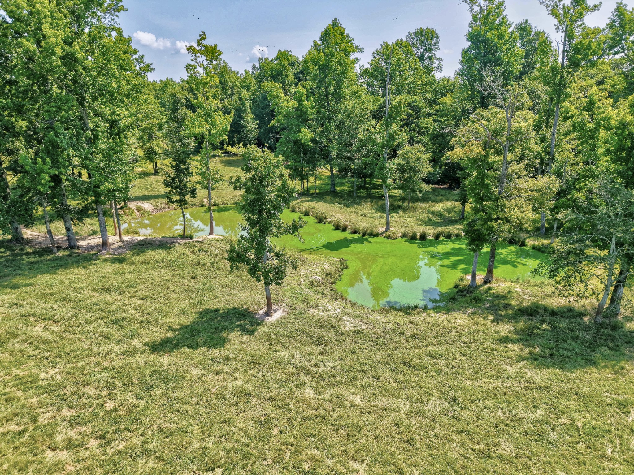 214 Camargo Road Fayetteville, TN 37334 - Photo 58 of 64