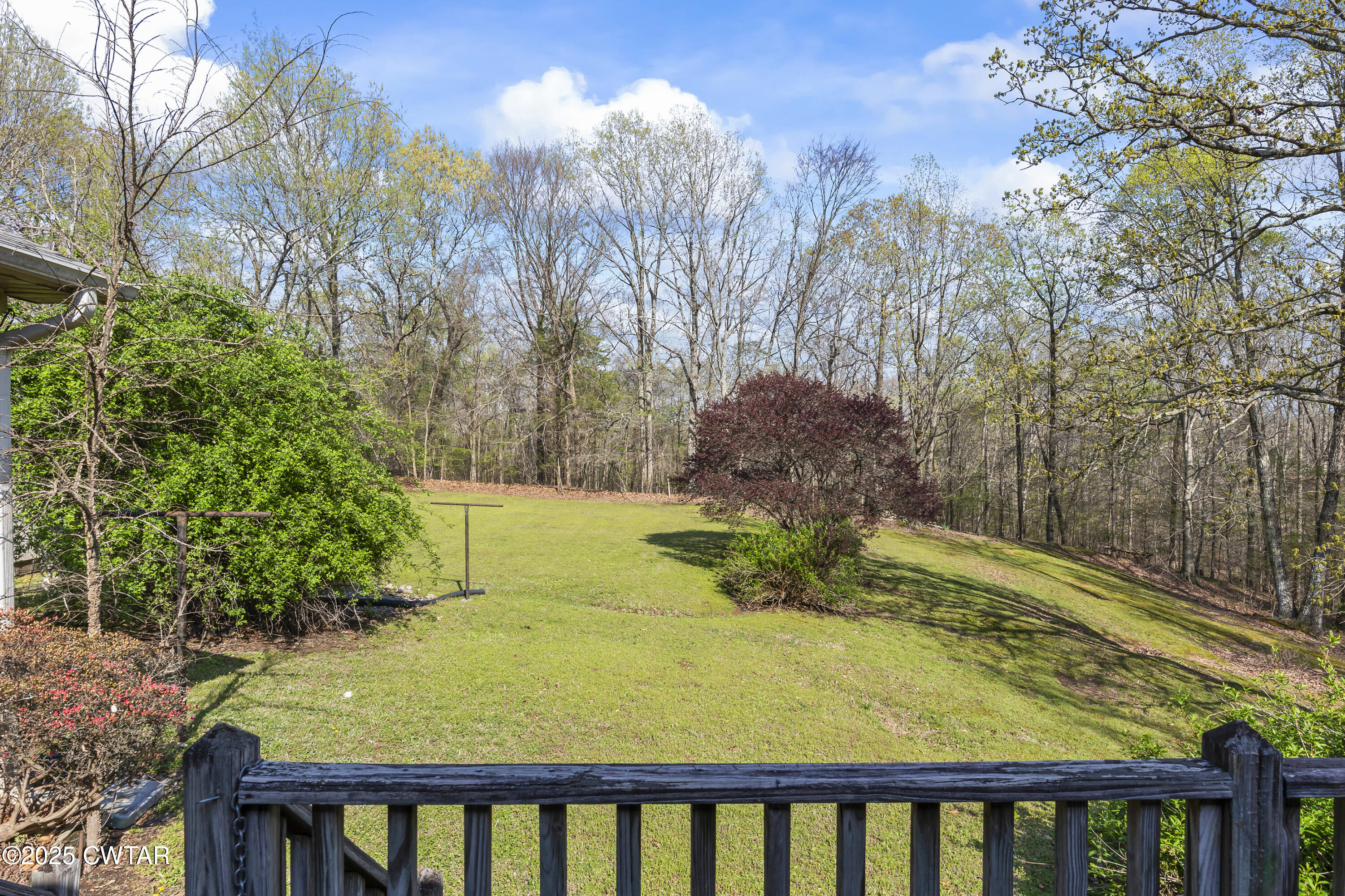 325 Deep Gap Road Jackson, TN 38301 - Photo 19 of 19 a view of a yard with plants