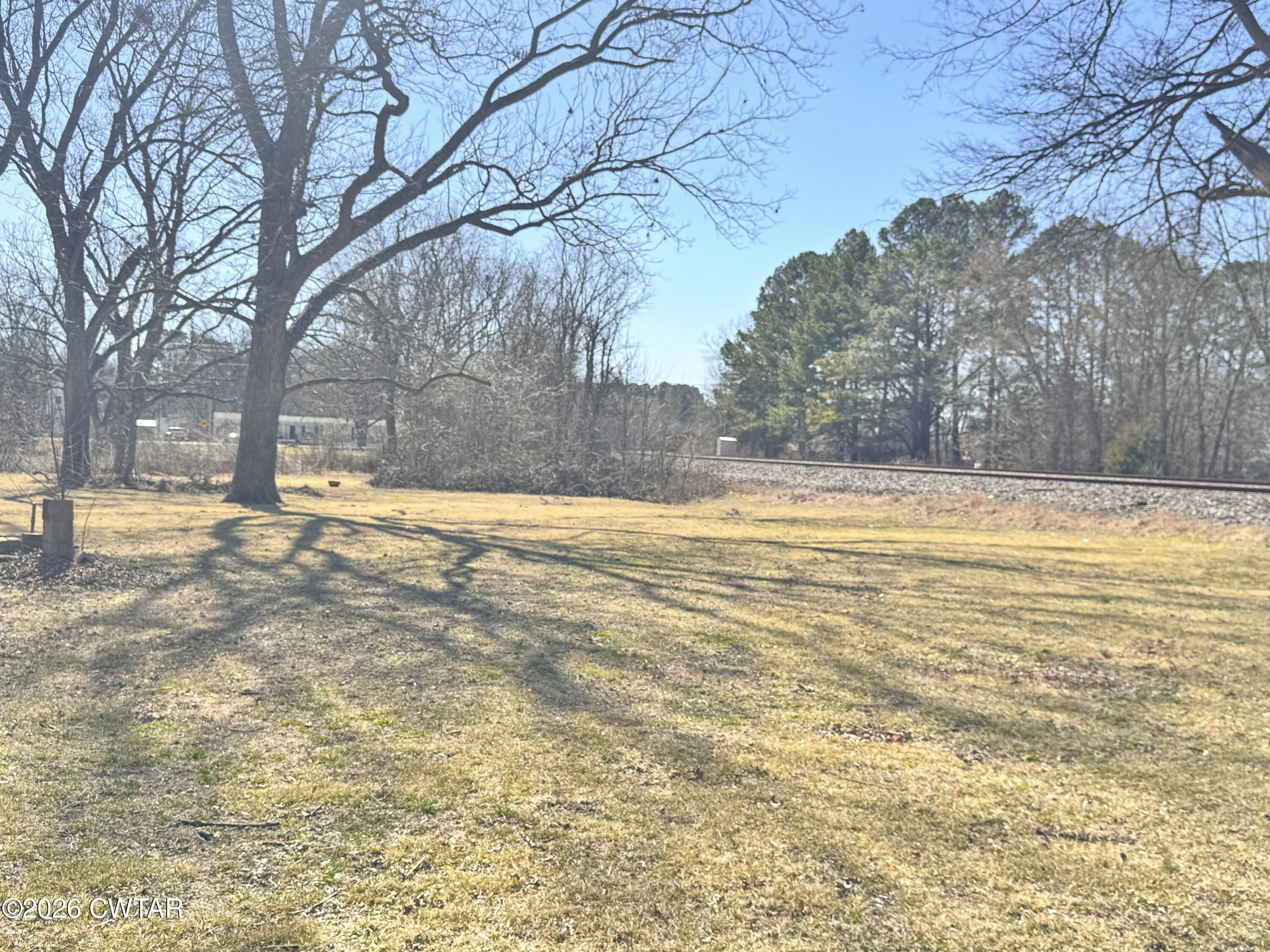 567 North Church Street Rives, TN 38253 - Photo 16 of 17 a view of a yard with a tree