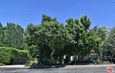 a front view of a house with yard and green space