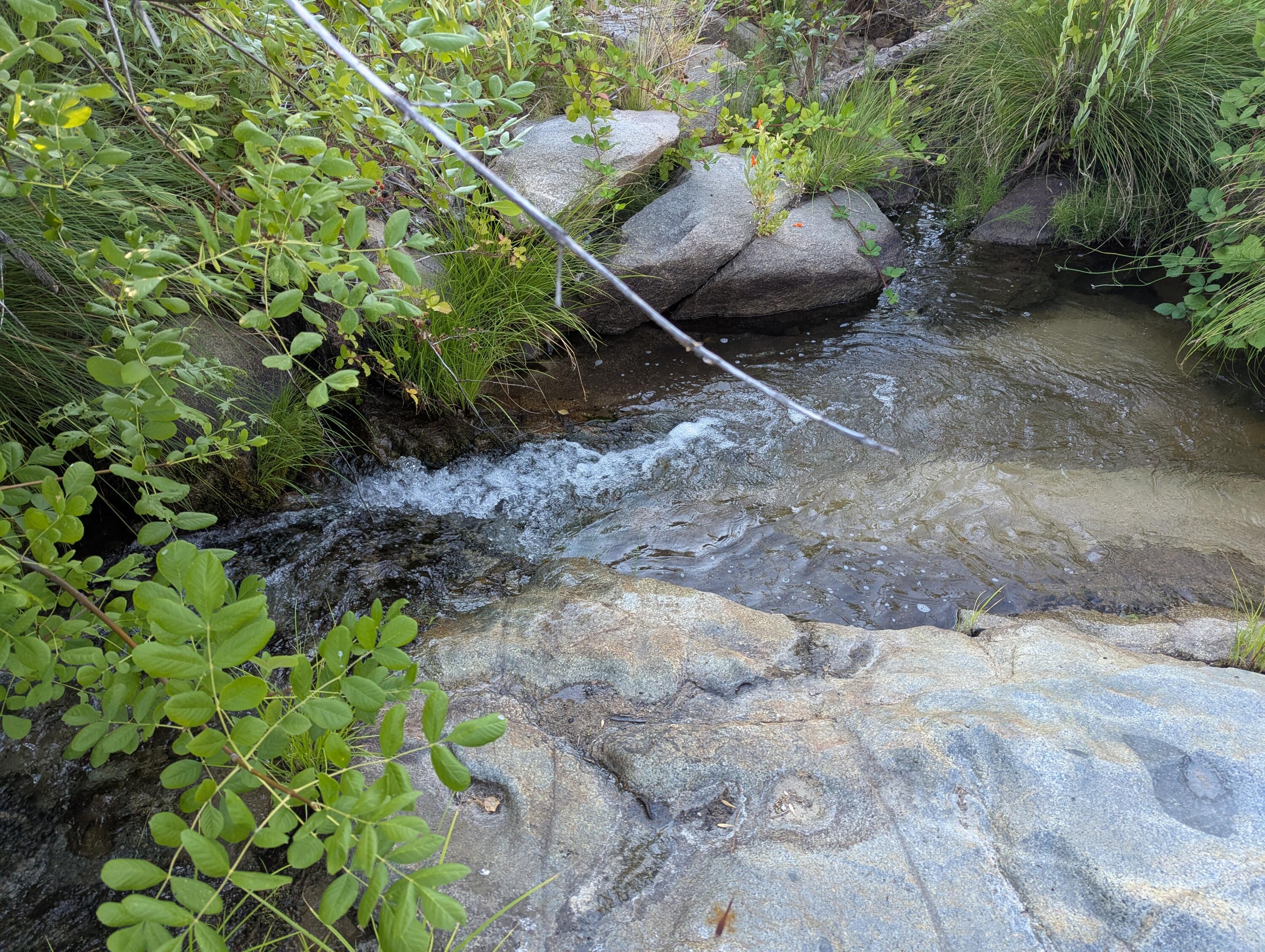 6949 Rector Creek Road Igo, CA 96047 - Photo 110 of 110 a backyard of a house with lots of green space