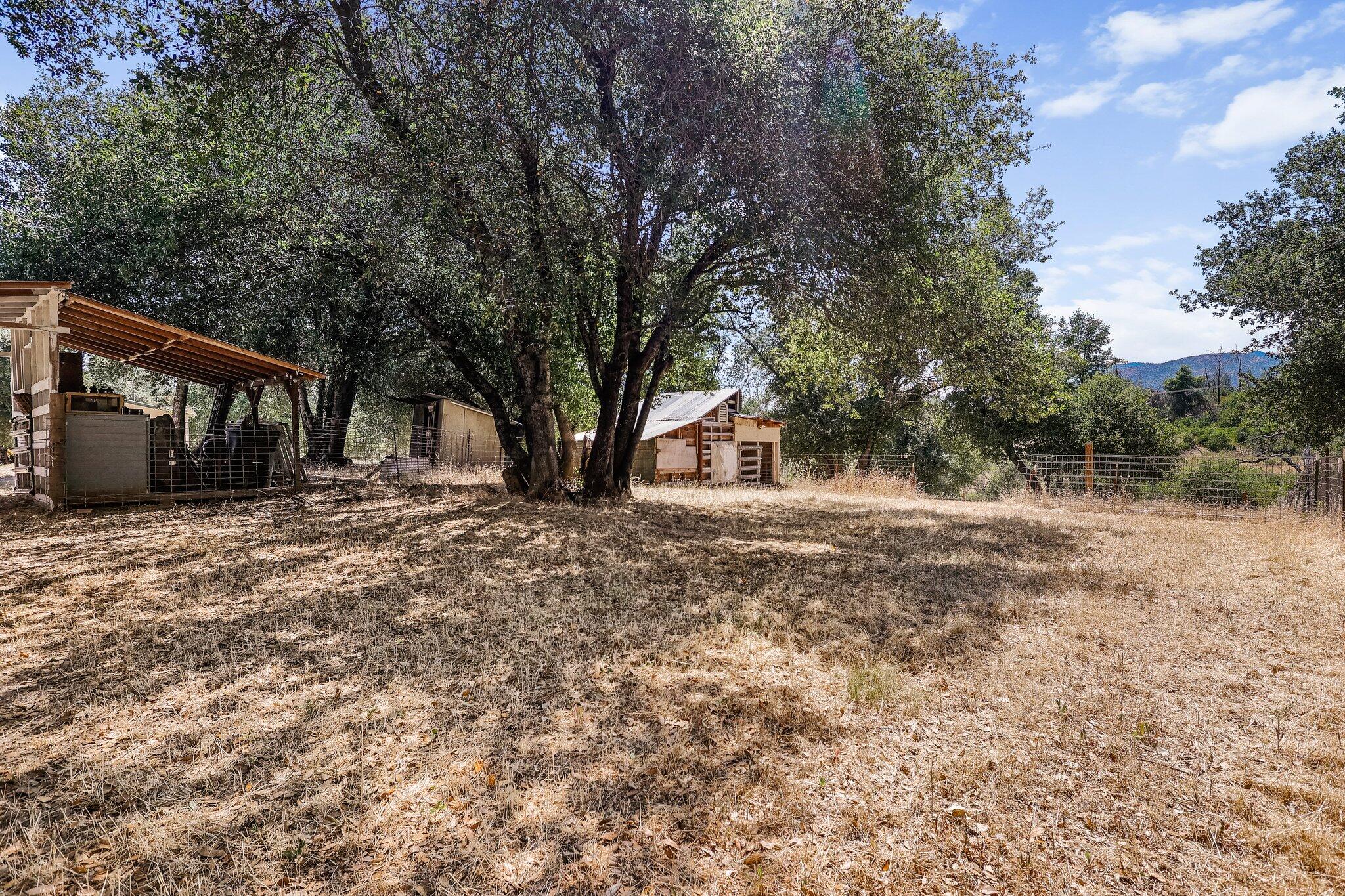 6949 Rector Creek Road Igo, CA 96047 - Photo 88 of 110 46-web-or-mls-_K3A2013