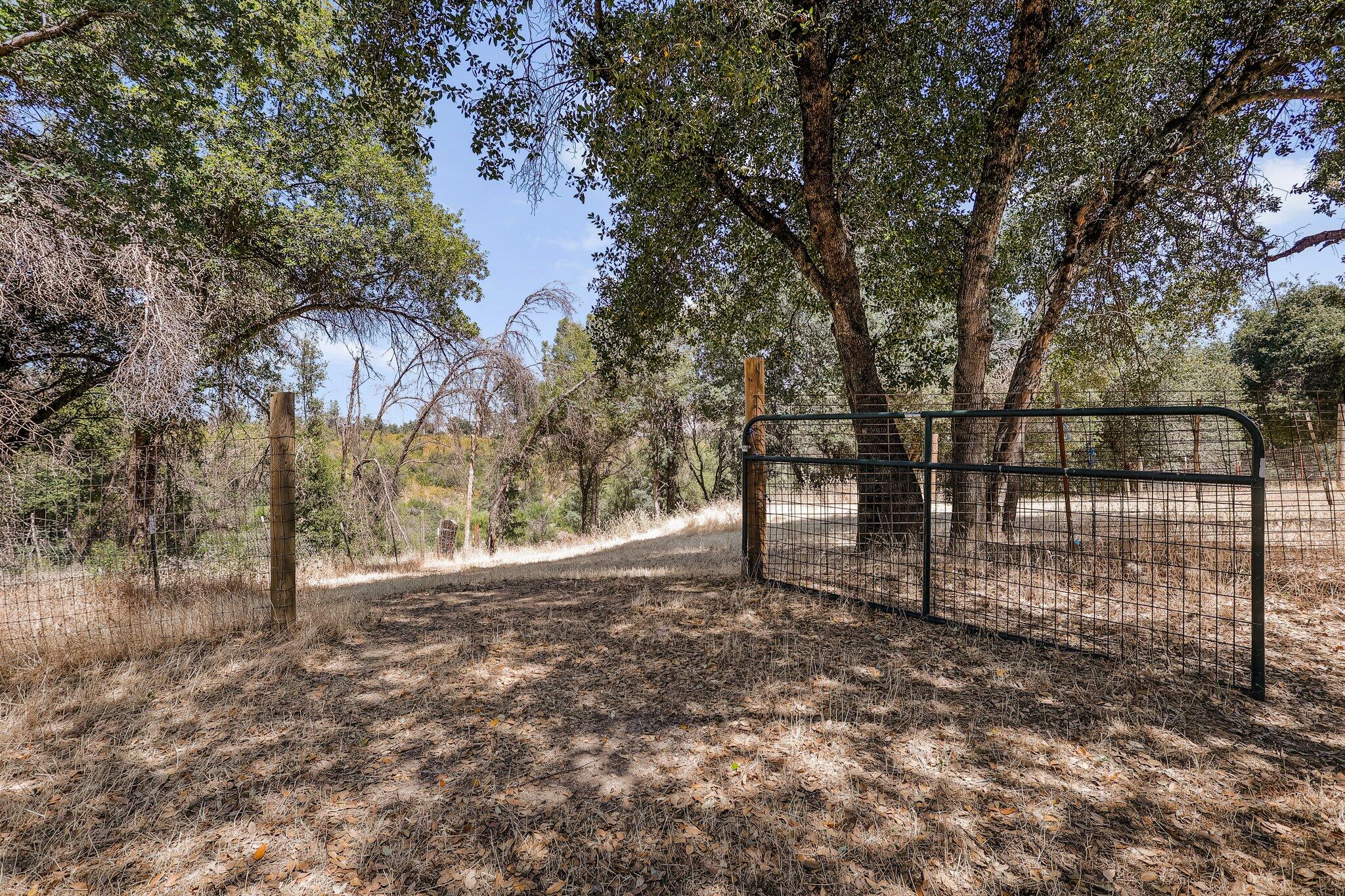 6949 Rector Creek Road Igo, CA 96047 - Photo 89 of 110 47-web-or-mls-_K3A2018