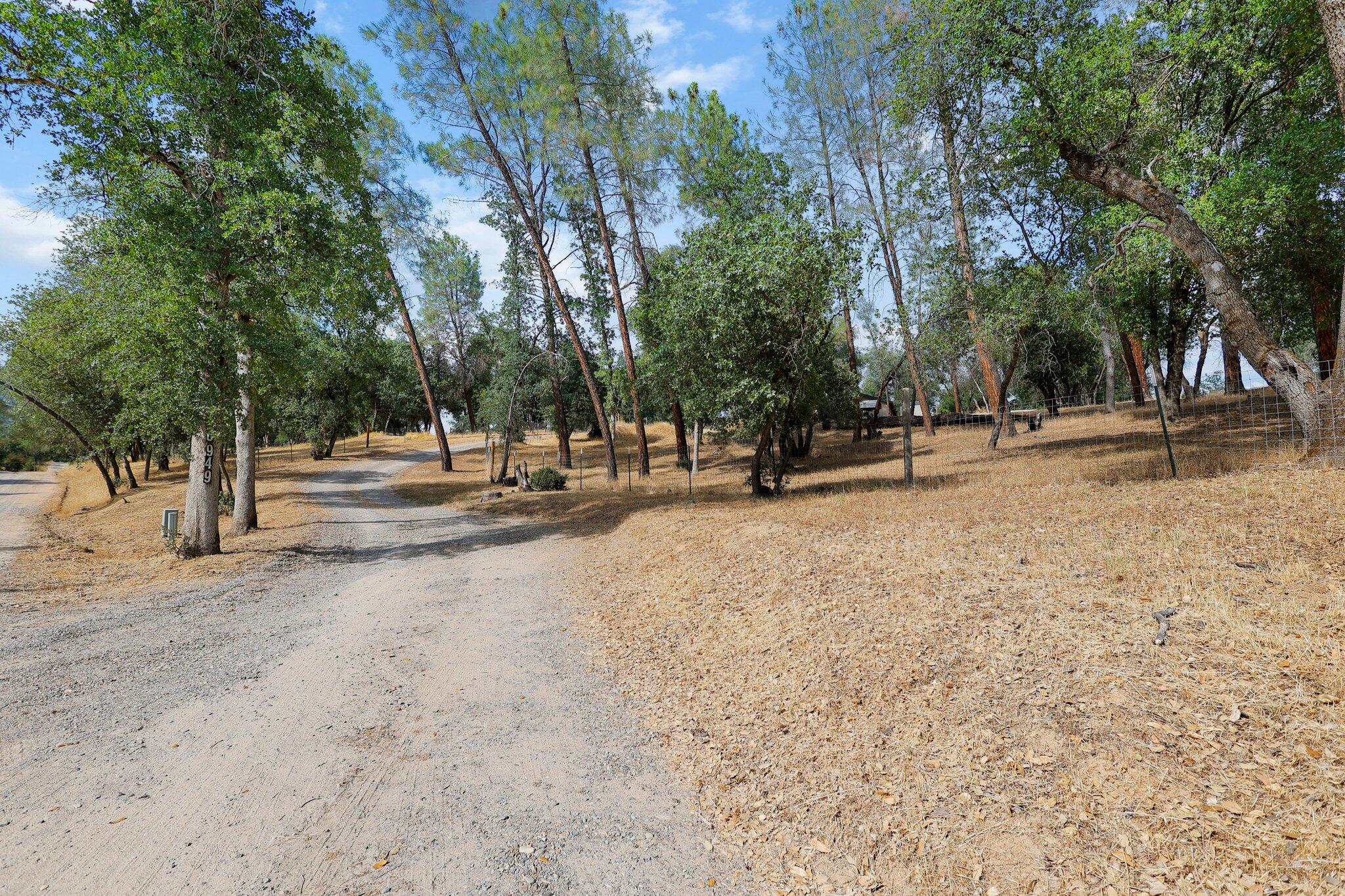 6949 Rector Creek Road Igo, CA 96047 - Photo 93 of 110 121-web-or-mls-_K3A2620