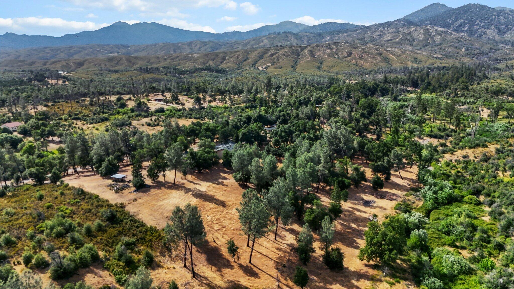 6949 Rector Creek Road Igo, CA 96047 - Photo 99 of 110 a view of a forest with mountains in the background