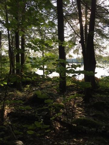 0 Hilltop Road Chesterville, ME 04938 - Photo 10 of 12 Photo