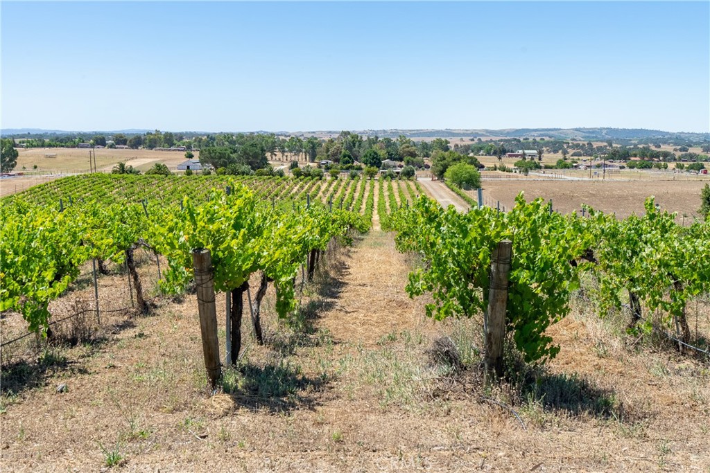 7568 Creston Road Paso Robles, CA 93446 - Photo 11 of 57