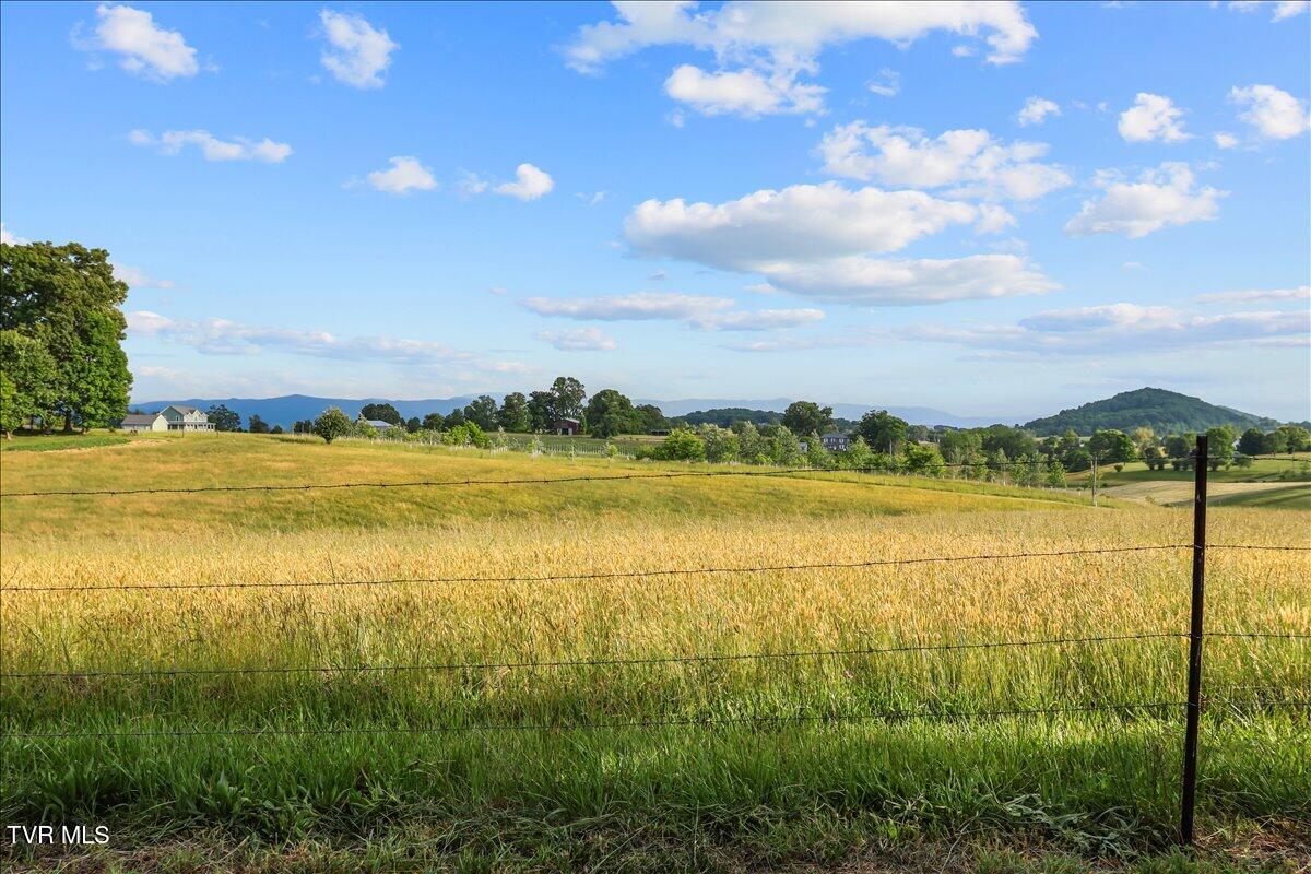762 Milburnton Road Limestone, TN 37681 - Photo 21 of 31 08-Backyard View