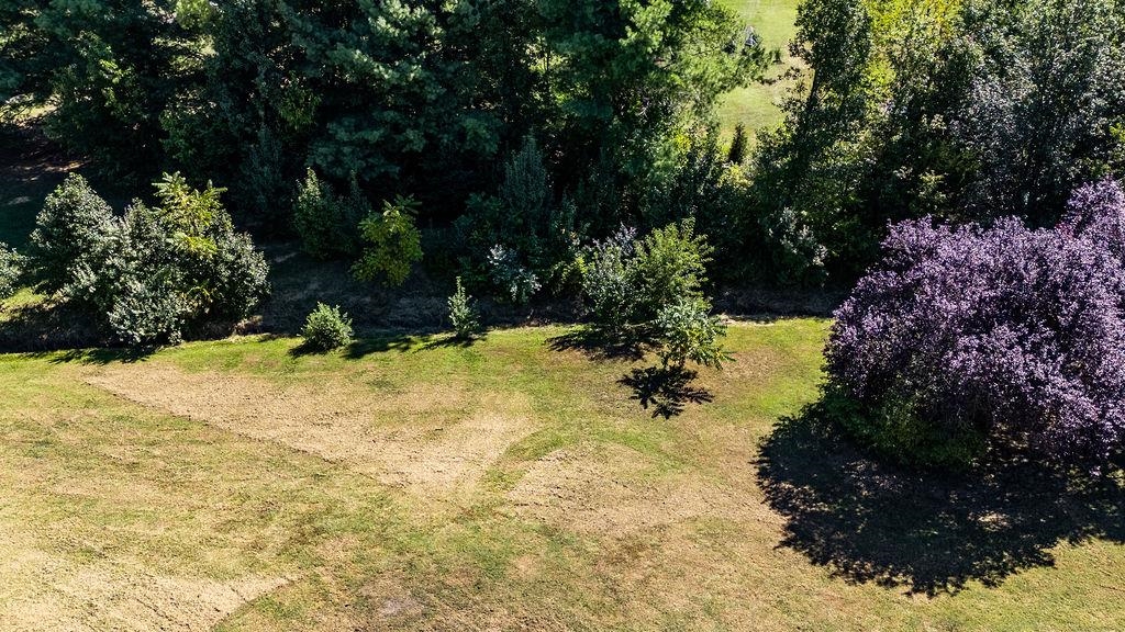 88 Yarmouth Road Stuarts Draft, VA 24477 - Photo 41 of 59 a view of a yard with plants and large trees