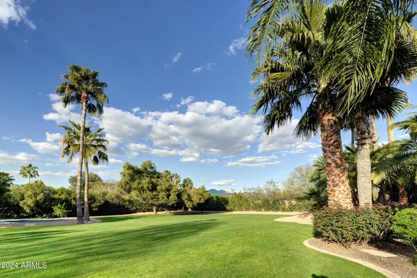 a front view of a garden and trees