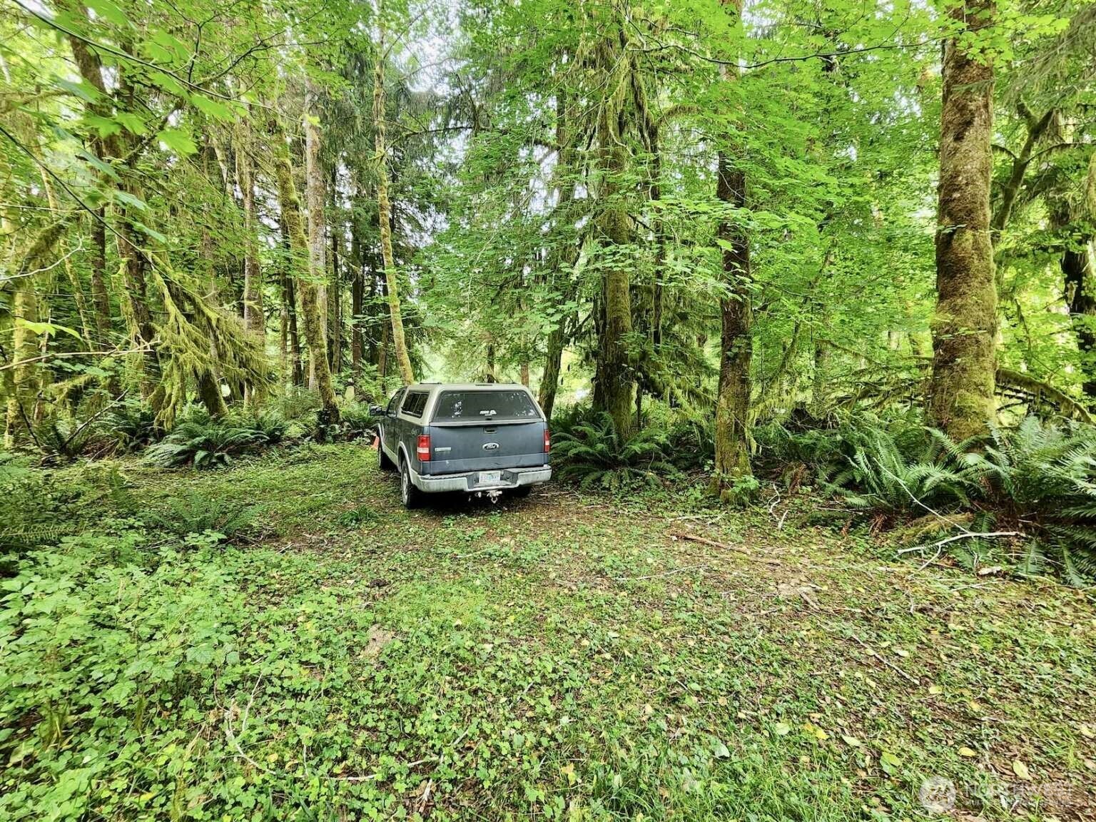 1999 Dowan Creek Road Forks, WA 98331 - Photo 14 of 37