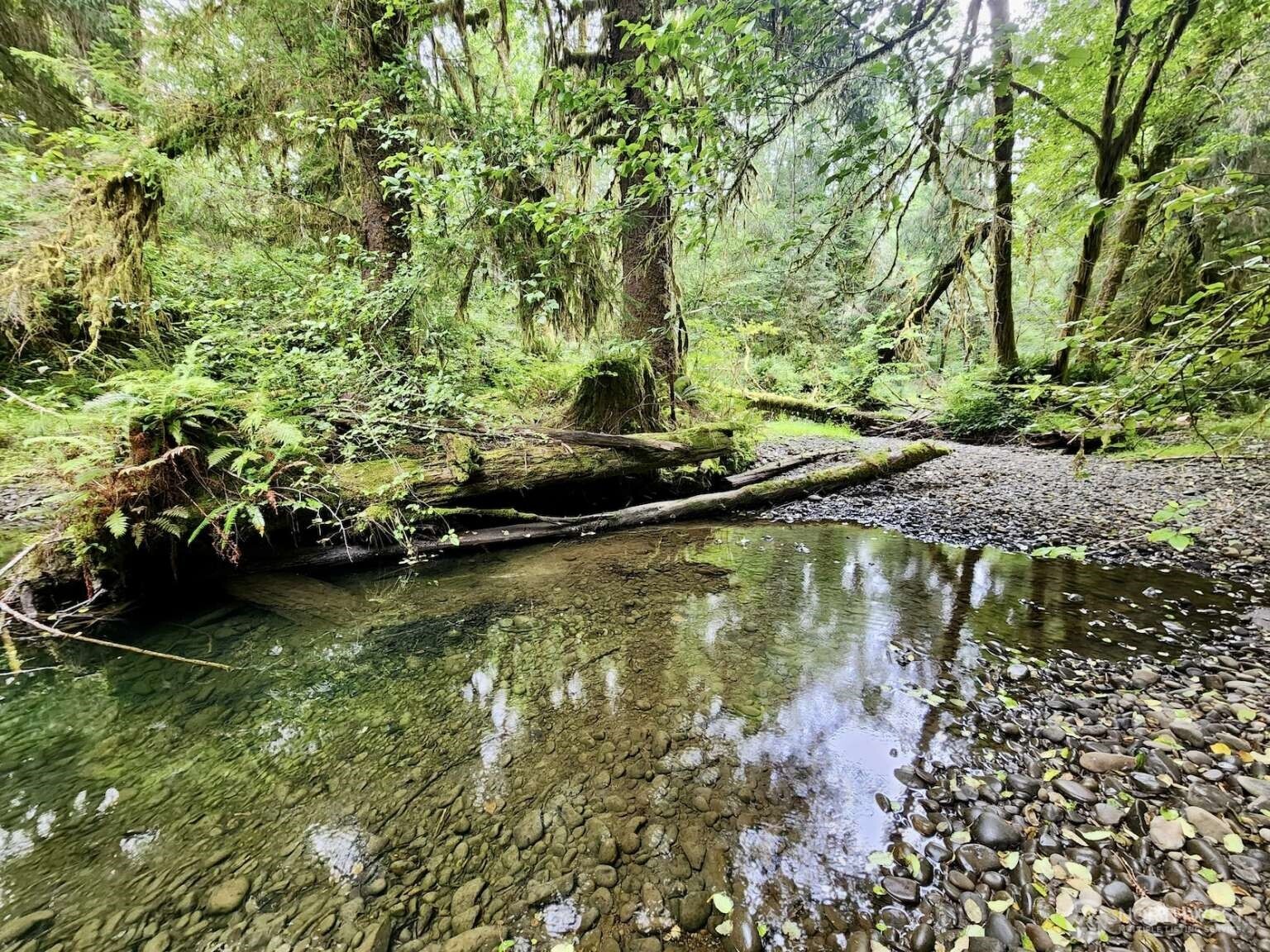 1999 Dowan Creek Road Forks, WA 98331 - Photo 25 of 37