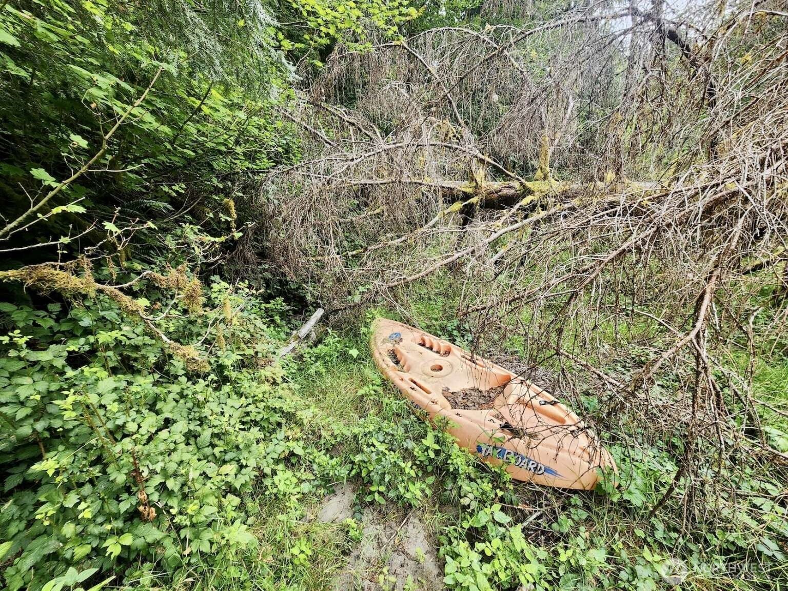 1999 Dowan Creek Road Forks, WA 98331 - Photo 26 of 37