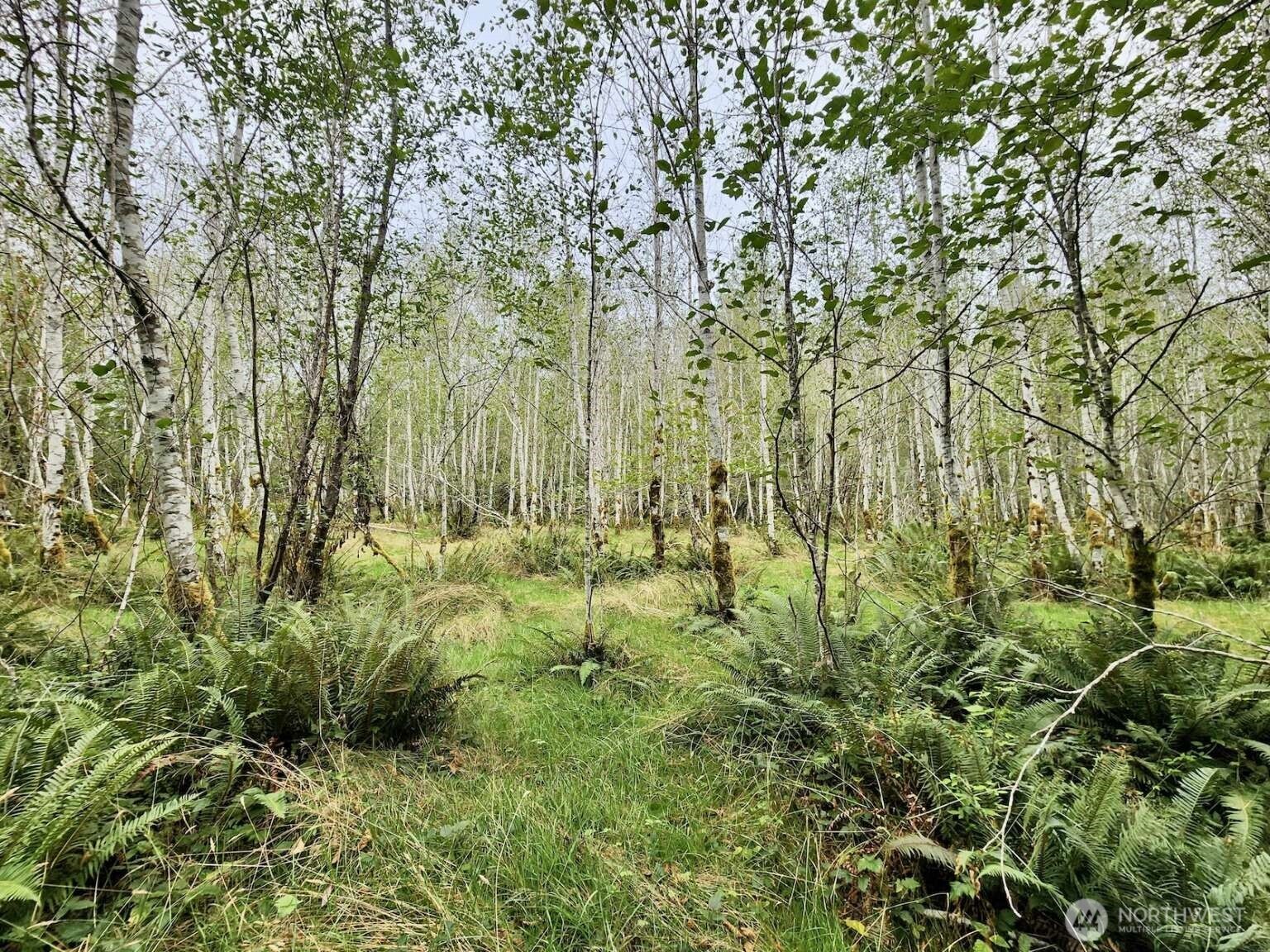 1999 Dowan Creek Road Forks, WA 98331 - Photo 28 of 37