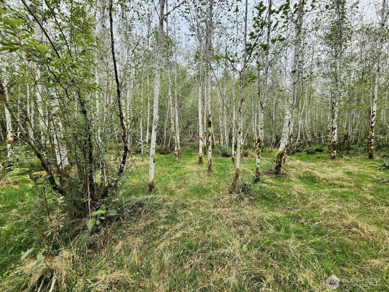 1999 Dowan Creek Road Forks, WA 98331 - Photo 29 of 37