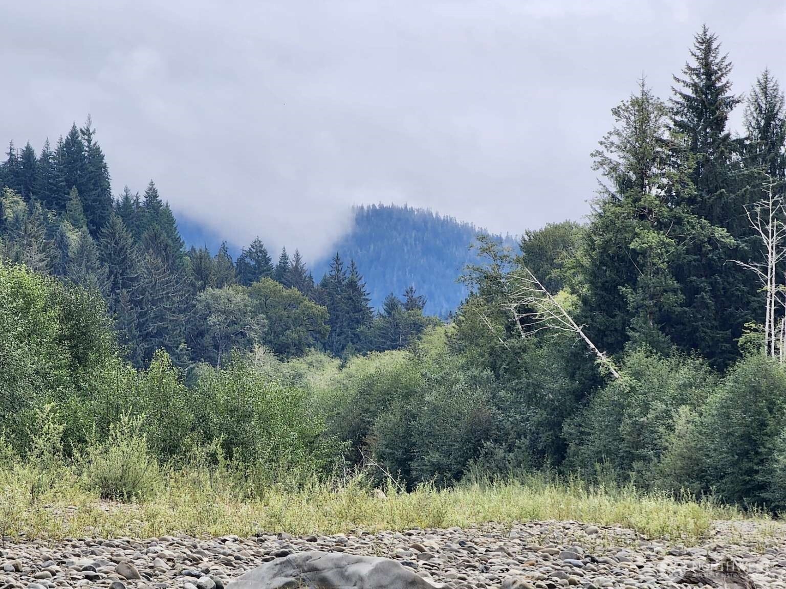 1999 Dowan Creek Road Forks, WA 98331 - Photo 35 of 37