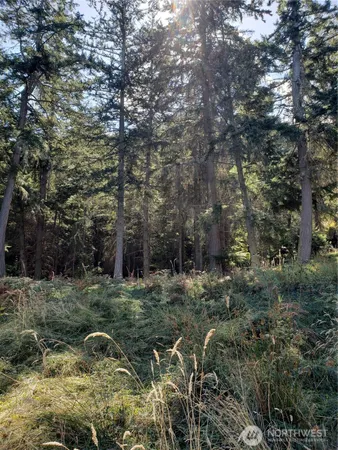 $340,000 | 0 Raccoon Point Road, Unit LOT 2, Orcas Island, WA 98245