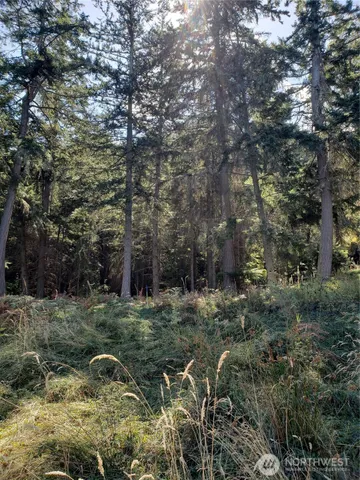 $340,000 | 0 Raccoon Point Road, Unit LOT 2, Orcas Island, WA 98245