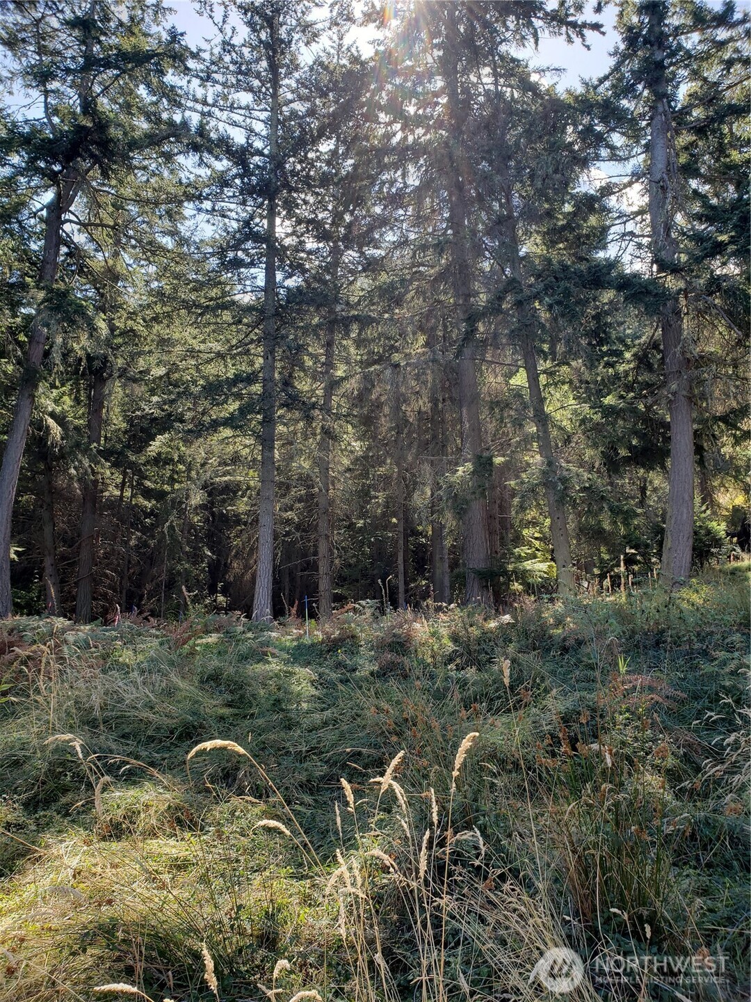 0 Raccoon Point Road, Unit LOT 2 Orcas Island, WA 98245 - Photo 11 of 18