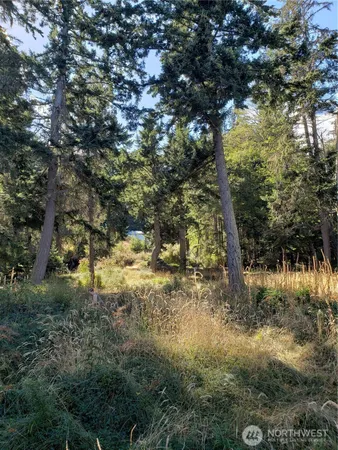 $340,000 | 0 Raccoon Point Road, Unit LOT 2, Orcas Island, WA 98245
