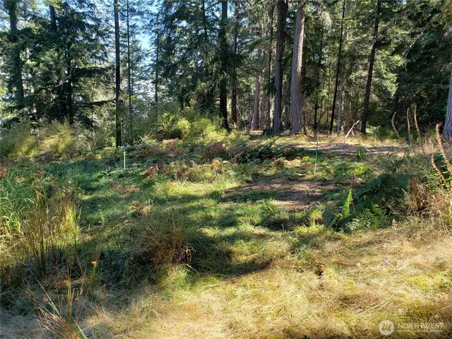 $340,000 | 0 Raccoon Point Road, Unit LOT 2, Orcas Island, WA 98245