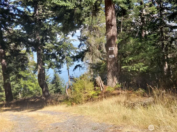 $340,000 | 0 Raccoon Point Road, Unit LOT 2, Orcas Island, WA 98245