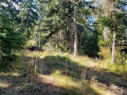 $340,000 | 0 Raccoon Point Road, Unit LOT 2, Orcas Island, WA 98245