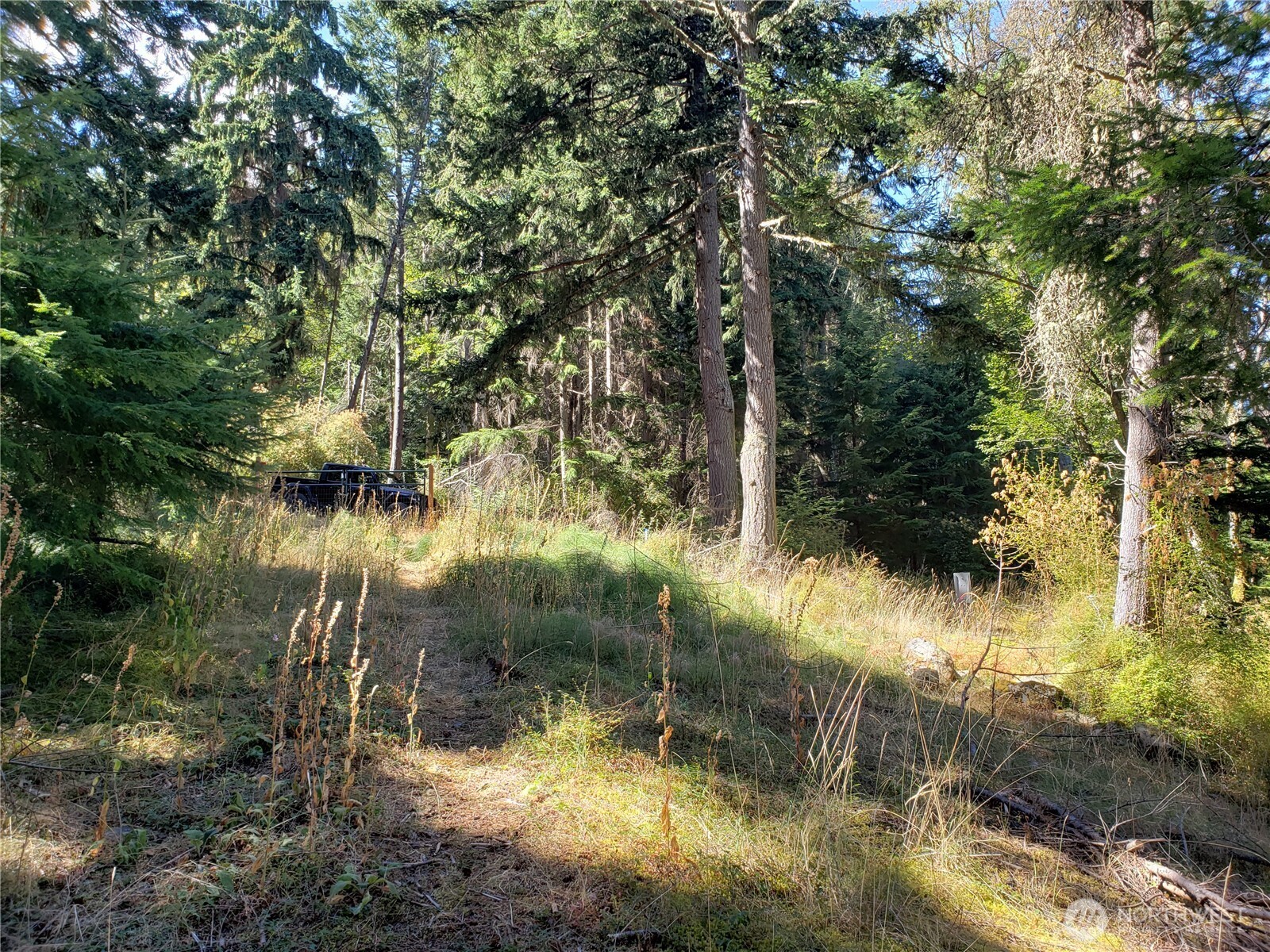 0 Raccoon Point Road, Unit LOT 2 Orcas Island, WA 98245 - Photo 4 of 18