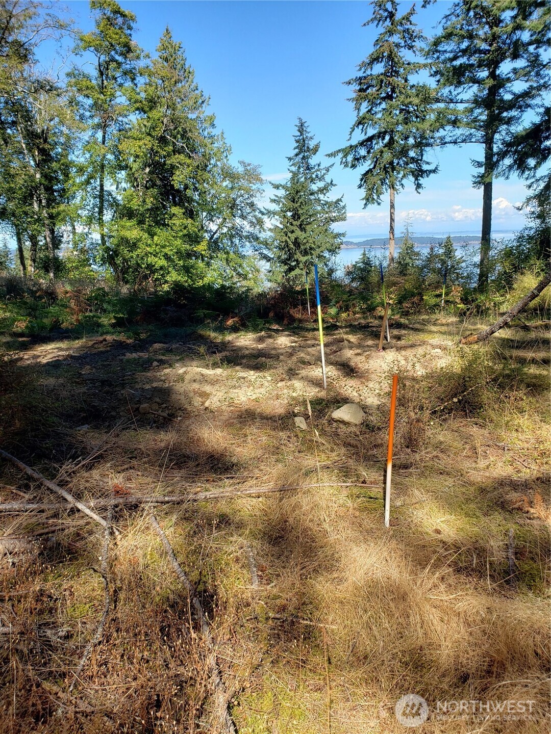 0 Raccoon Point Road, Unit LOT 2 Orcas Island, WA 98245 - Photo 5 of 18